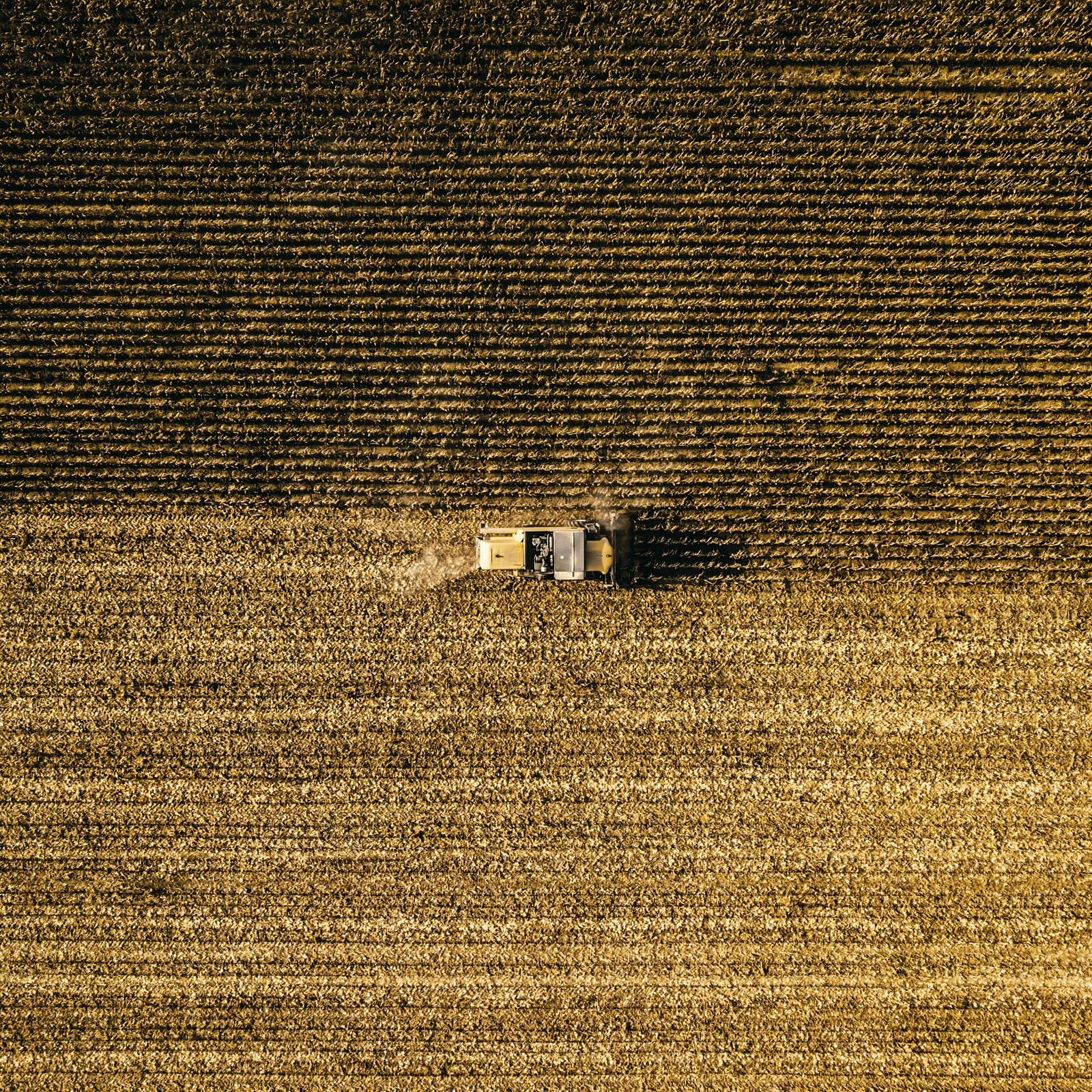 Agronegócio e Alimentício